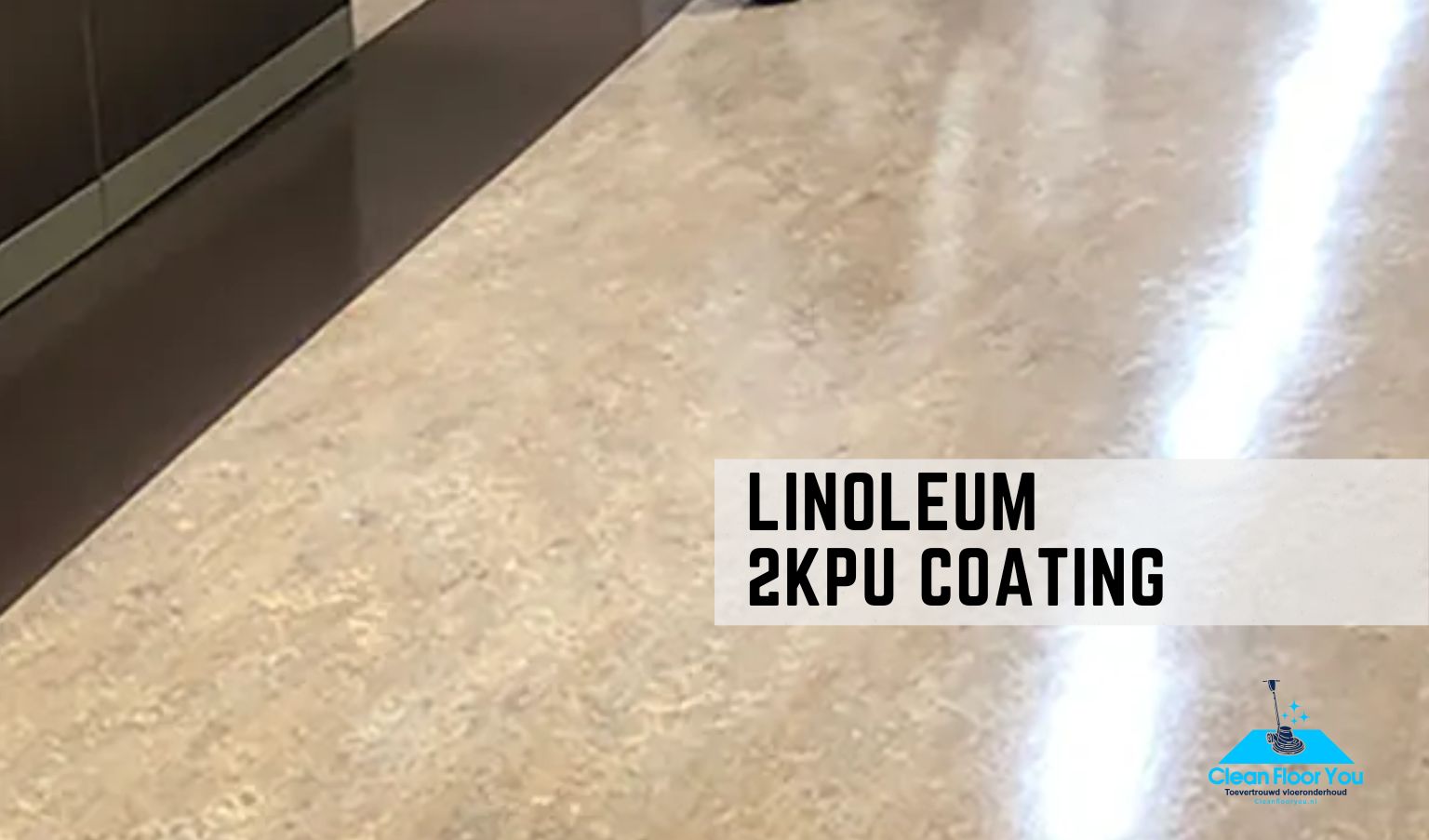 linoleum 2pk coating
