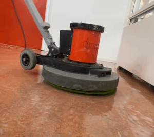 vloeronderhoud- Reguliere schoonmaak: Hygiëne en comfort, elke dag opnieuw